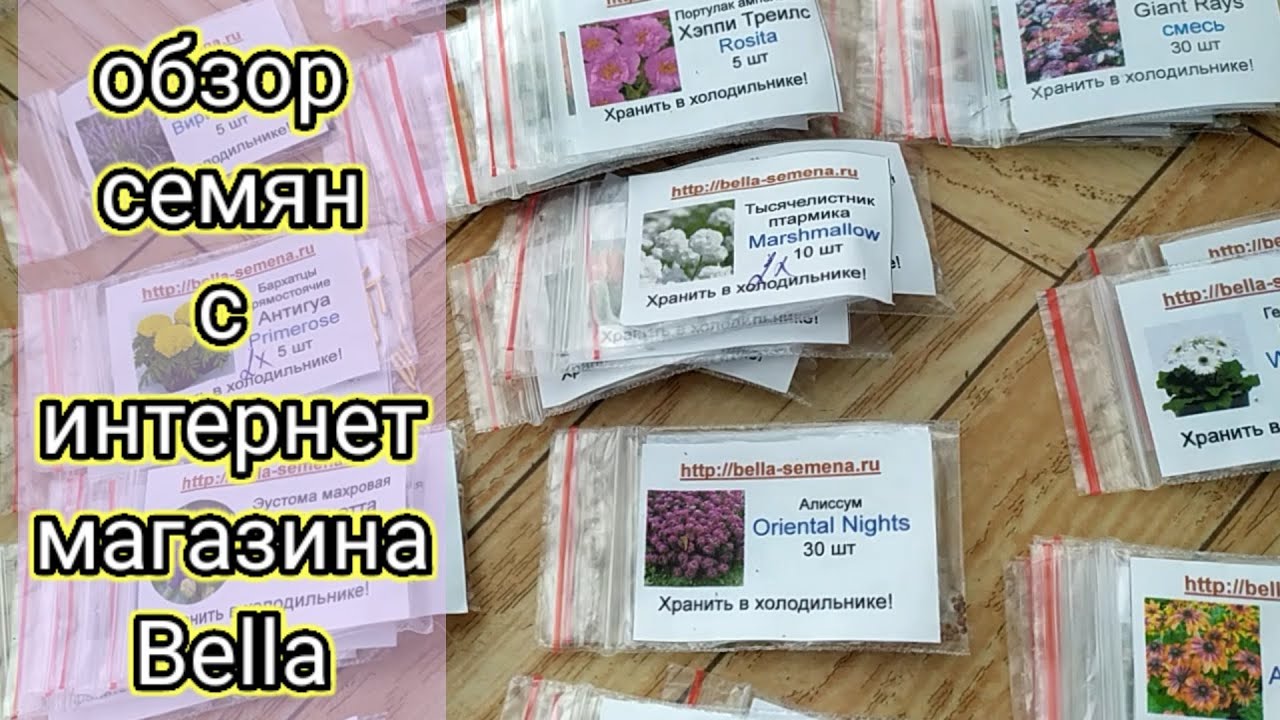 Интернет магазин семян цветов у беллы почтой факты о вреде марихуаны