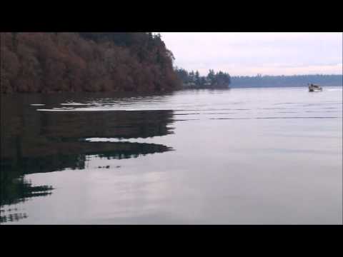 Close encounter with Orca whales.