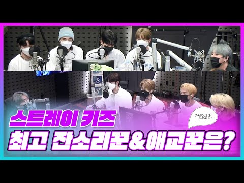 스트레이 키즈(Stray Kids) <strong>멤버</strong> 중 최고의 잔소리꾼&amp;amp;애교꾼은?🔥(<strong>ft</strong>. 극딜과 훈훈, 팬이 아니어도 수어영상 저장🔥,팬아수) ｜KBS 211210