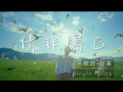 Meteor Garden OST - Qing Fei De Yi《情非得已 》(R&B Lofi 合唱版）伴奏版 + 動態歌詞 pinyin #翻唱  #必听热门歌曲  #情歌