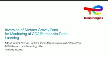 Technical Talk: Inversion of Time-Lapse Surface Gravity Data for Detection of 3D CO2 Plumes via..