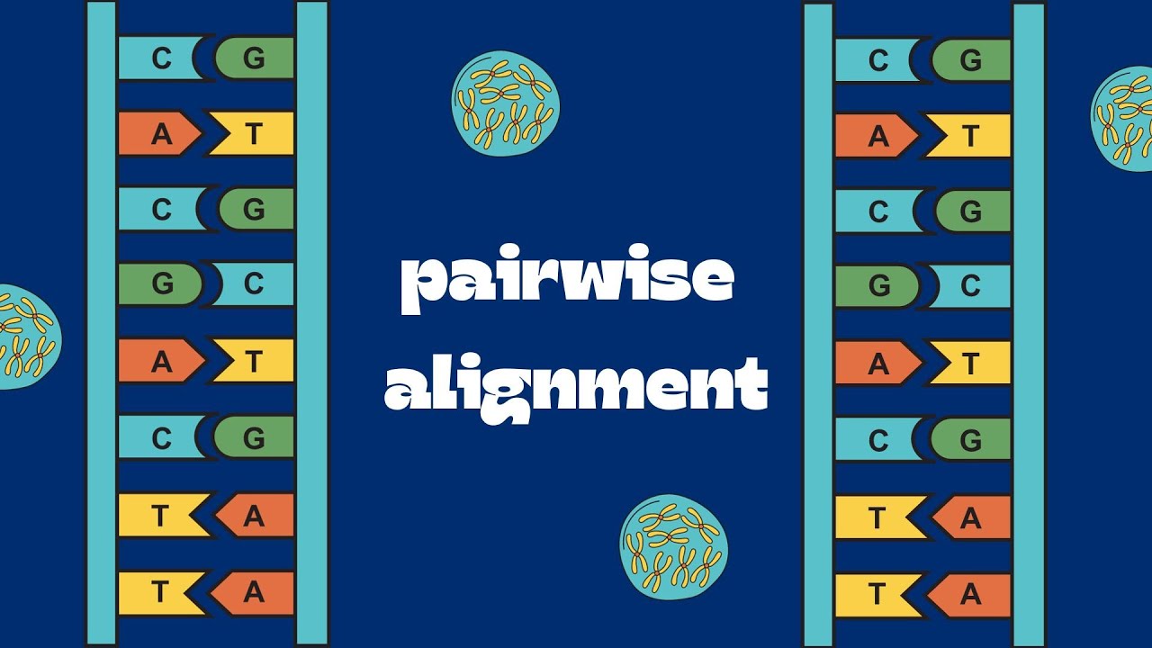 Global Pairwise Alignment using R - YouTube