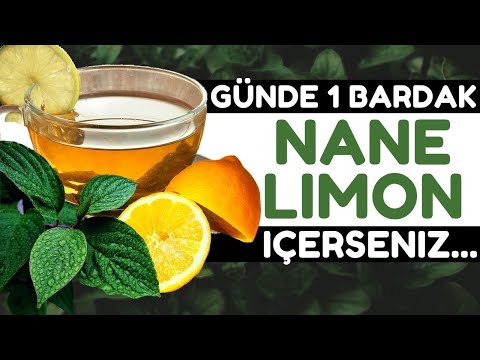 1 Bardak Nane Limon İçmek Vücudunuza Bunları Yapıyor | Nane Limonun Faydaları Nelerdir?
