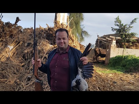 ضربة رائعة اوبن سايد فايروخ 85 👍 A precise hit on the target