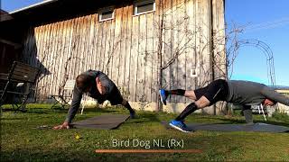200415 Online WOD 12 - Iso Core Workout