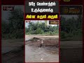 ஒரே வெள்ளத்தில் உருக்குலைந்த சின்ன சுருளி அருவி #theninews #heavyrain #floodnews #shorts #newstamil