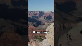 Unveiling the Grand Canyon's Secrets: A Prehistoric Journey Through Time  #shorts #subscribe #travel