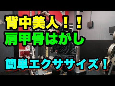 タオルエクササイズ！！自宅で簡単！タオルでキレイな背中を作ろう！！