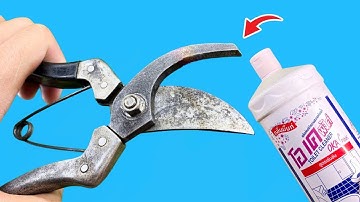 Special Way To Sharpen Pruning Shears To Razor Sharpness! In Just 1 Minute