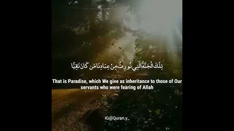 قرآن كريم بصوت القارئ ياسر الزيلعي اروع حالات واتس اب دينيه 🌃 تلاوة خاشعة 🖤😴