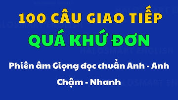 Luyện Nghe 100 Câu Giao Tiếp Quá Khứ Đơn |Luyện Nghe 13 Thì Tiếng Anh