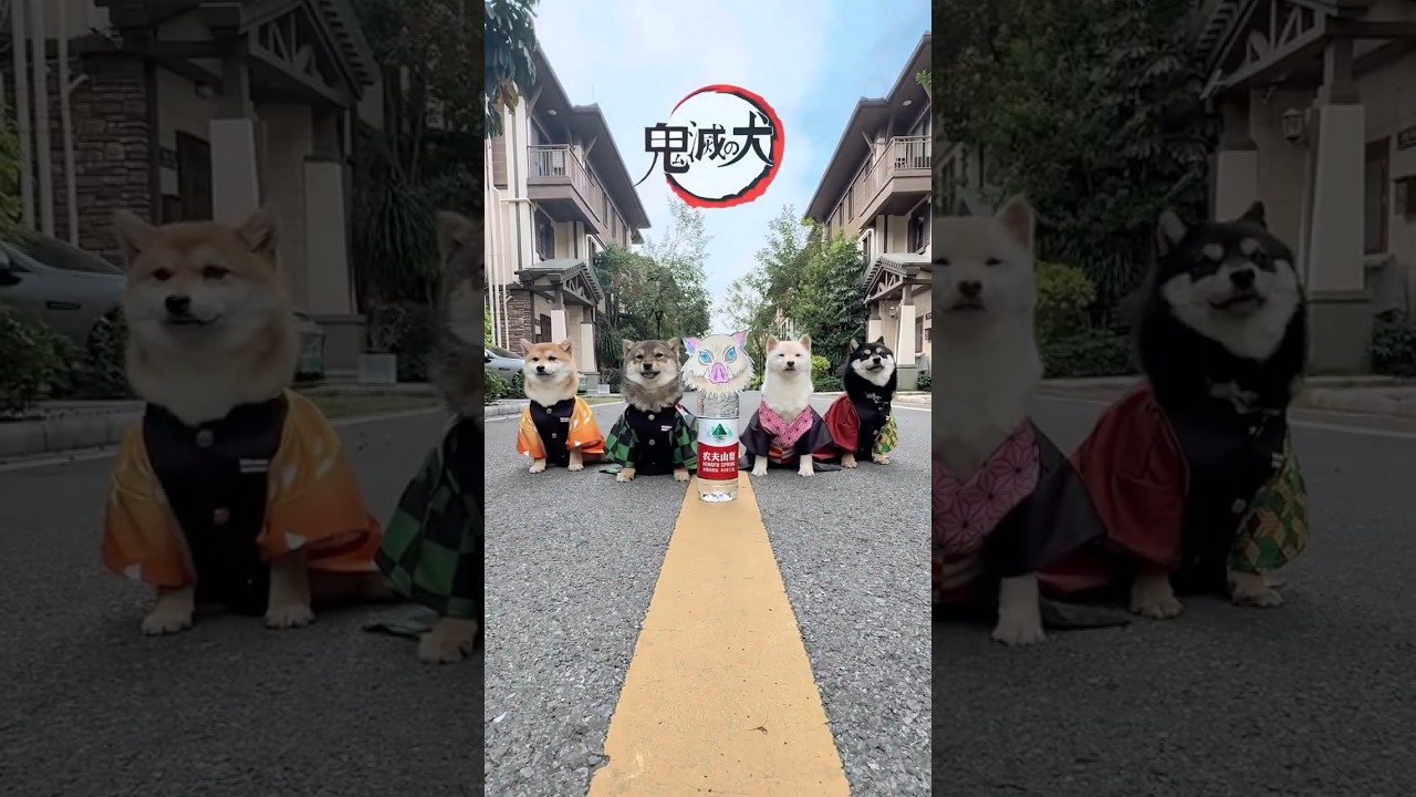 Demon Slayer Dogs #anime #game #fyp #kimetsunoyaiba #demonslayer #tanjiro #cosplay #cosplayer #girl