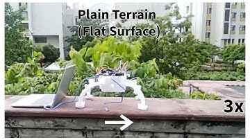 Crab-Inspired Quadruped Robot: Gait Demonstration and Locomotion Analysis