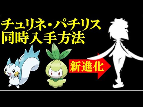 ヒスイドレディア パチリスとチュリネを同時に入手する方法 Pokemon Legends アルセウス Youtube
