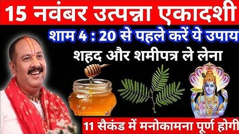 15 नवंबर मार्गशीर्ष शनिवार उत्पन्न एकादशी के दिन शहर और शमी पत्ते वाली उपाय जरूर करें Pradeep Mishra