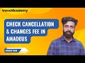 Amadeus Session 28 | How to check cancellation and changes in Amadeus | Travel Training | Learn GDS