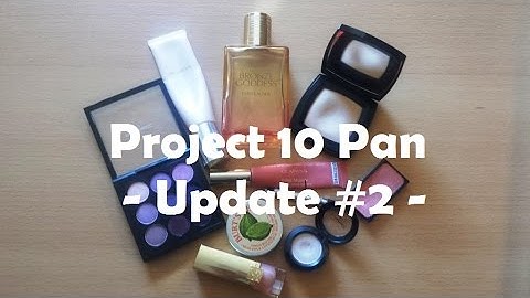 My 1st Project 10 Pan - Update #2