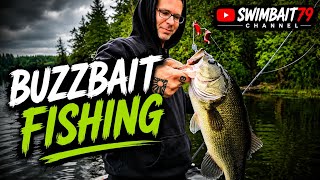 Buzzbait Fishing!! 