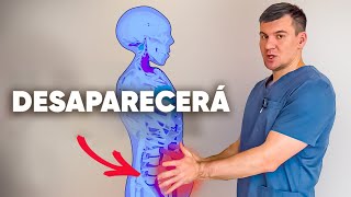 ¿Cómo comer de todo y perder peso? Pierde grasa y conviértela en abdominales.