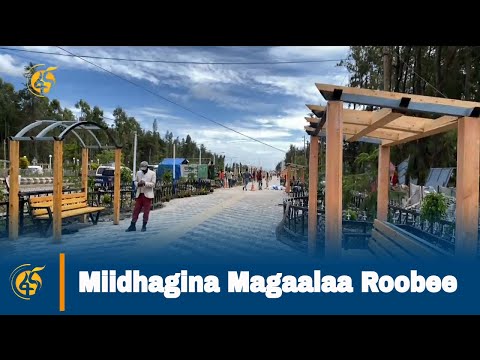 Miidhagina Magaalaa Roobee