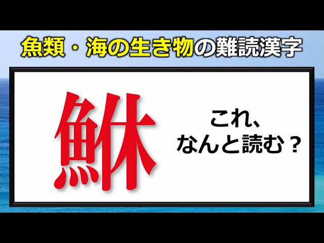 難読漢字 難しい読みをする魚類 海の生き物の漢字 25問 Youtube