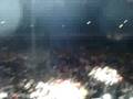 Statik Selektah @ Rock The Bells Chicago