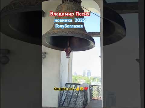 Владимир Песня / голубоглазая новинка шансон 2025 #shortvideo #short #shorts