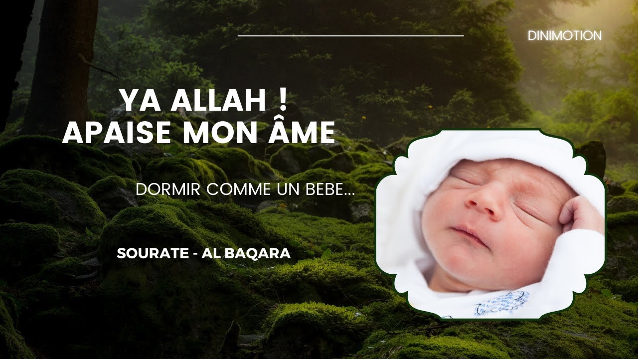 Magnifique recitation du coran | Contre l'anxiété et l'angoisse (sans publicité)