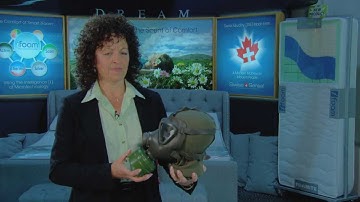 The Best Mattress Made With The Best and Most Natural Comfort Ingredients (Full Video)