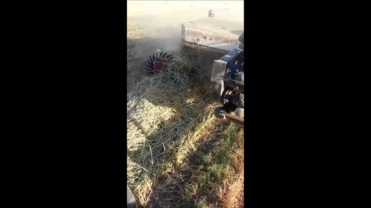 Freeman 330 Baling Oat Hay - YouTube