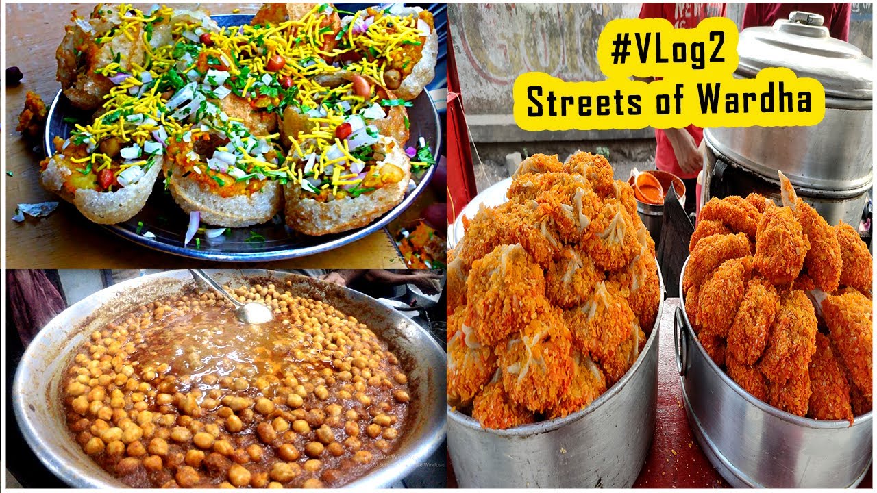WARDHA's STREET FOOD VLOG(PART 1) TRYING BEST STREET FOOD IN WARDHA