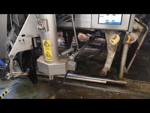 DeLaval melkrobot bij Recreatieboerderij de Oorsprong - Schiermonnikoog