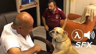 Little Angry Man Dubbed With Half-Life Sfxköksal Baba