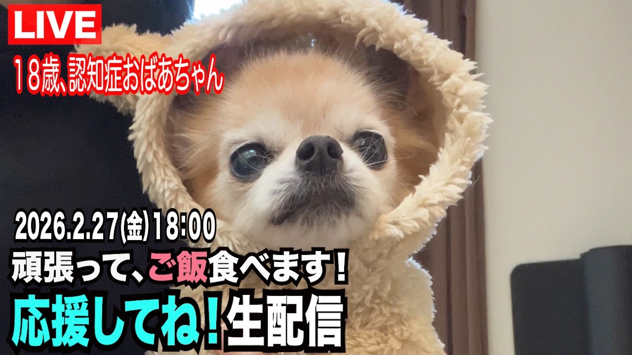 【18歳認知症のおばあちゃん、頑張ってご飯食べます！】生配信