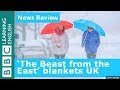 The 'Beast from the East' brings snow to the UK: BBC News Review