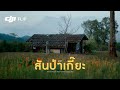 แบกเป้เที่ยวคนเดียวสู่สันป่าเกี๊ยะ ดอยแม่ตะมาน เชียงดาว กับ DJI Flip | หาที่หลง Vlog27