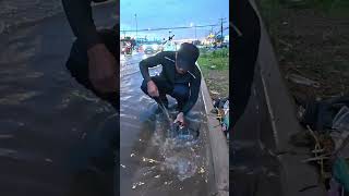 After Clean up trash, water flow smoothly into drain  #uncloggingdrains #shorts