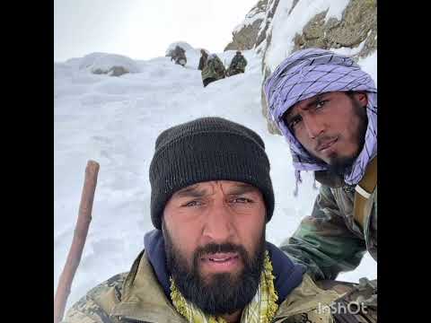عقاب شکاری نترسد زبوم دو مرد خراسان دو صد مرد روم