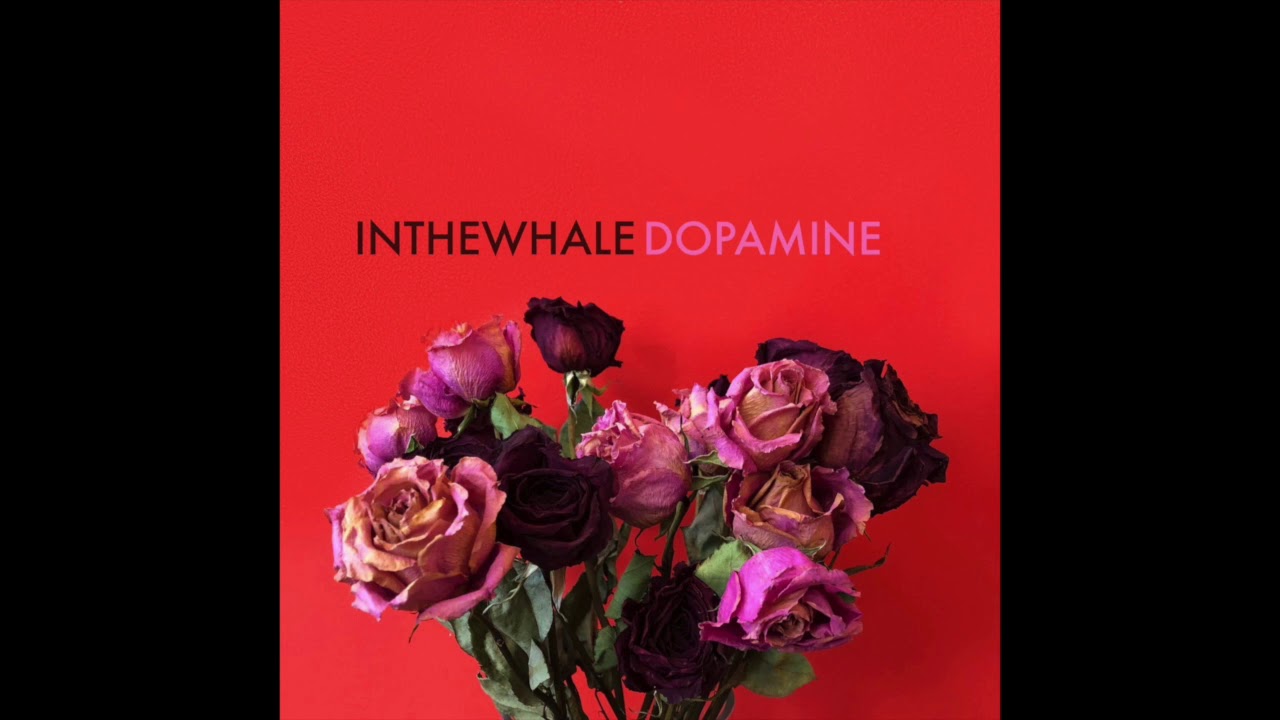 Mira INTHEWHALE - Highways en YouTube Mira INTHEWHALE - Highways en YouTube