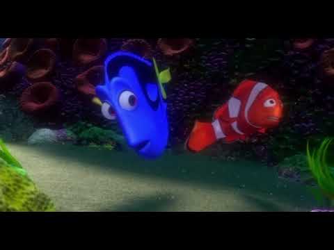 Finding Nemo Marlin Meets Dory Scene