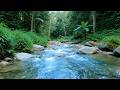 Peace Therapy – Beautiful Enchanted Water River Sound in Green Forest – Relax Brain