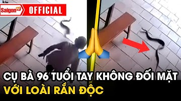 Thót tim pha “mặt đối mặt” giữa cụ bà 96 tuổi và rắn hổ mang trong sân nhà | Tin tức SaigonTV