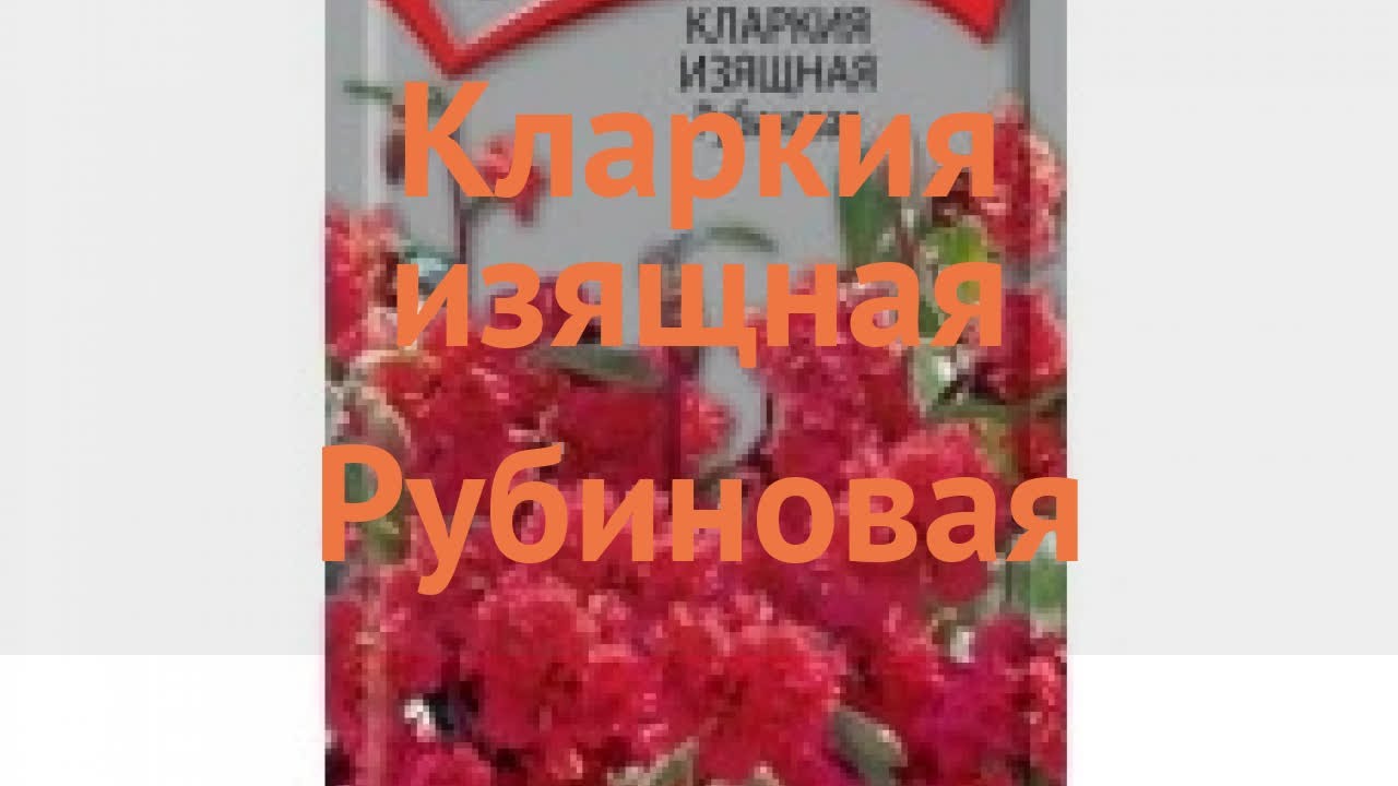 Питомник руби краун