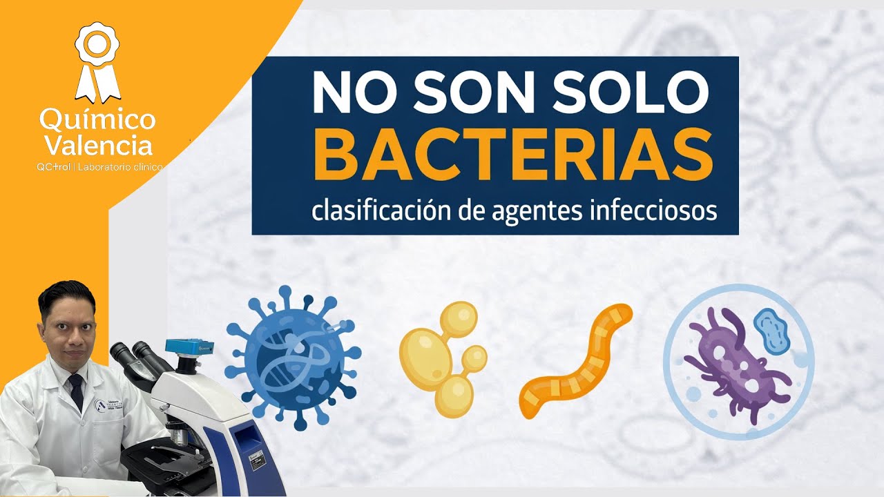 Инфекционные агенты: чему вас НЕ учат должным образом в университете (бактерии, вирусы...)