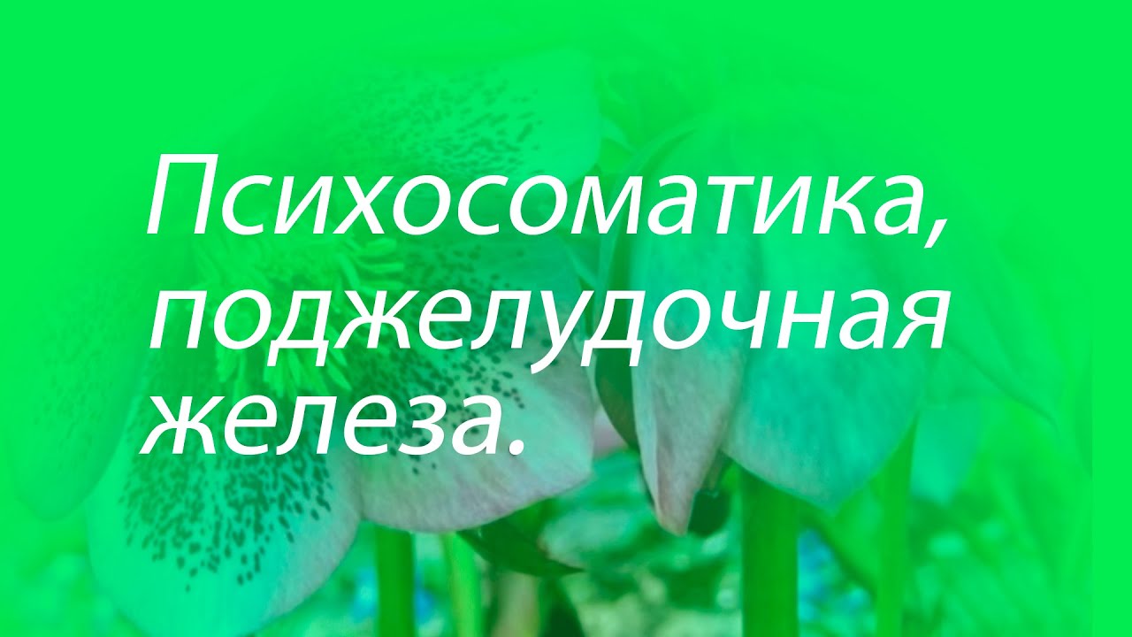 Психосоматика- поджелудочная железа