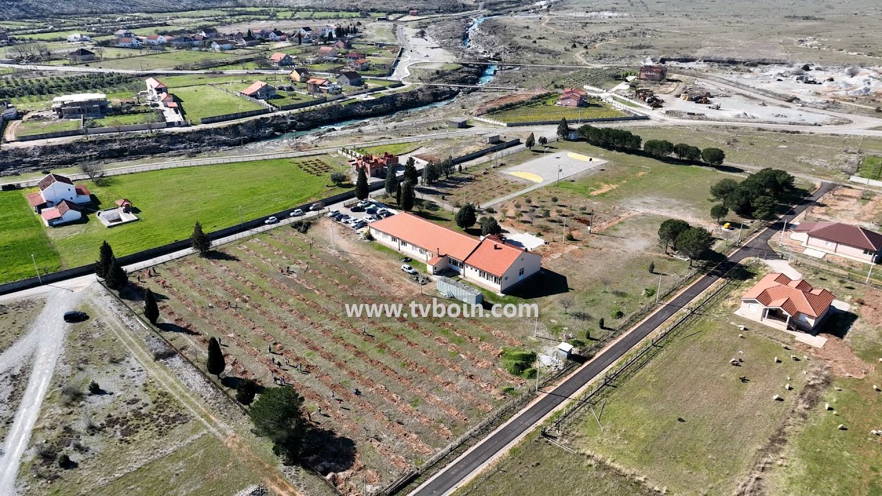 AKTUALE - Mbjellja e ullirit në oborrin e shkollës “29 Nëntori” Dinoshë