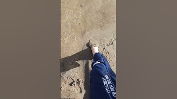 satisfying asmr quicksand at beach