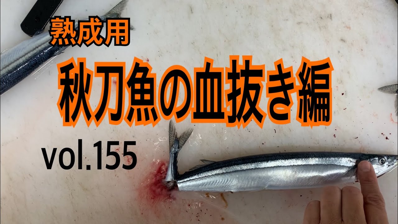 Bleeding pacific saury for aging Vol.155 - YouTube