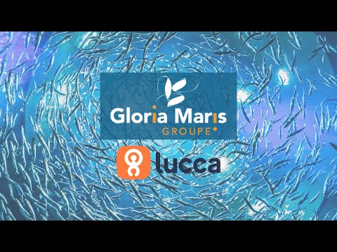 [TÉMOIGNAGE CLIENT] Lucca x Gloria Maris - MONTAGE VIDEO / produit par @kronik