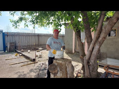 Видео: Убрали не годных. Посмотрели крольчат.